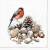 Lunch Napkins - Bullfinch & Pine