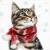 Lunch Napkins - Christmas Kitten