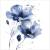 367218 Blue Flowers