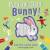 Padded baby book - Follow that Bunny!