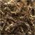 SH01KR1 - Springfill Crinkle cut Kraft 1 lb