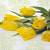 775093345634 - Lunch Napkins - Yellow Tulips