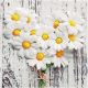 Lunch napkin - daisy heart </span>6.5