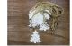 Bundle of white wooden hanging Tree 2.4