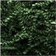 SH01FG1 - Springfill Crinkle cut Forest Green 1 lb