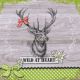 Lunch napkins - Wild at Heart 6.5