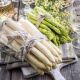 775093284414 - Lunch Napkins - Asparagus