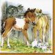 775093410073 - Lunch napkin - Cat & Horses