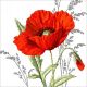 <p>Lunch Napkins - Red Poppy 6.5