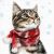 Lunch Napkins - Christmas Kitten