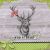 Lunch napkins - Wild at Heart 6.5