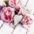775093386620 - Pink flowers with a Heart