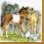 775093410073 - Lunch napkin - Cat & Horses