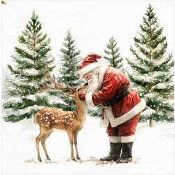 Lunch Napkins - Deer Santa 6.5"x6.5"