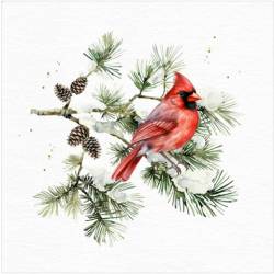Lunch Napkins - Cardinal on a branch 6.5"x6.5"
pack of 20 napkins