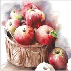 Lunch napkin - Apple Bushel 6.5"x6.5" 20 napkins/pack