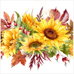 NAP1200