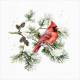 Lunch Napkins - Cardinal on a branch 6.5