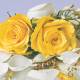 378429 - Lunch napkin - Soft Yellow Roses