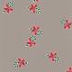 CEL2 - Candy Cane Red Bow Printed Cellophane roll on clear 4