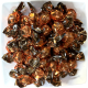 <p>Caramel Esta Truffles 1Kg. (2.2 lb.) bag about 85 pcs per Kg. 