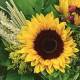 342034 - Lunch Napkins - Sunflower