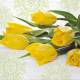 775093345634 - Lunch Napkins - Yellow Tulips