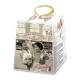 <p>Antica Pastecceria Classic Panettone 100 gr., 36/cs</p>