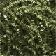 SH01OLV10 - Springfill Crinkle cut Olive Green 10 lb