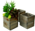 Set of 3 Square wood planters
L:8"x8"x7"H,
M:7"x7"x6"H,
S:6"x6"x5"H