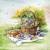 Lunch Napkins - Picnic 6.5" x 6.5"