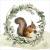 Lunch Napkins - Squirrel 6.5" x 6.5"