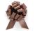 PB8CH - 8" Matte Pull Bows - 50 bows/case - Chocolate 