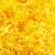 SH01YL1 - Springfill Crinkle cut Yellow 