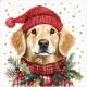 Lunch Napkins - Dog with Santa's Hat 6.5"x6.5"