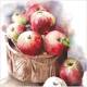 Lunch napkin - Apple Bushel 6.5"x6.5" 20 napkins/pack