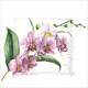 Lunch napkin - Pink Orchids 6.5"x6.5"