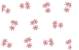 Printed Cellophane - Red Poinsettias
40"x100' - 25 Micron (1.0 mil)