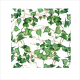 Cocktail napkins - Green Ivy Branches 5"x5"