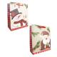 Matte with hot stamp Christmas gift bag - 2 styles