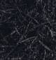 Springfill black crinkle
