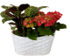 White Oval bamboo basket 13"x7.2"x6"H