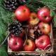 Lunch napkins - Apples & Cinnamon 6.5"x6.5"