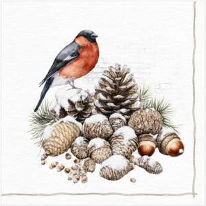 Lunch Napkins - Bullfinch & Pine