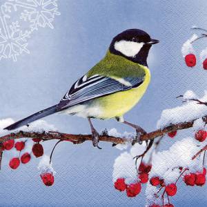 Lunch Napkins - Bird in the Snow 6.5"x6.5"
pack of 20 napkins
