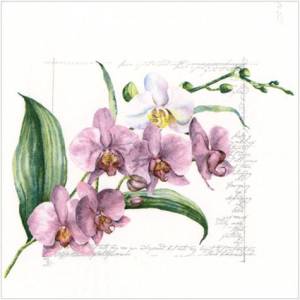 Lunch napkin - Pink Orchids 6.5"x6.5"