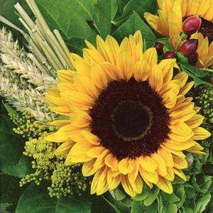 342034 - Lunch Napkins - Sunflower