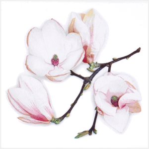 Lunch napkins - White Magnolia 6.5"x6.5"