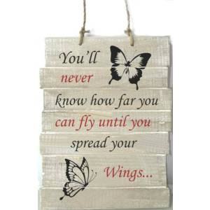 PAQ224W - "You'll never know how far you can fly until you s