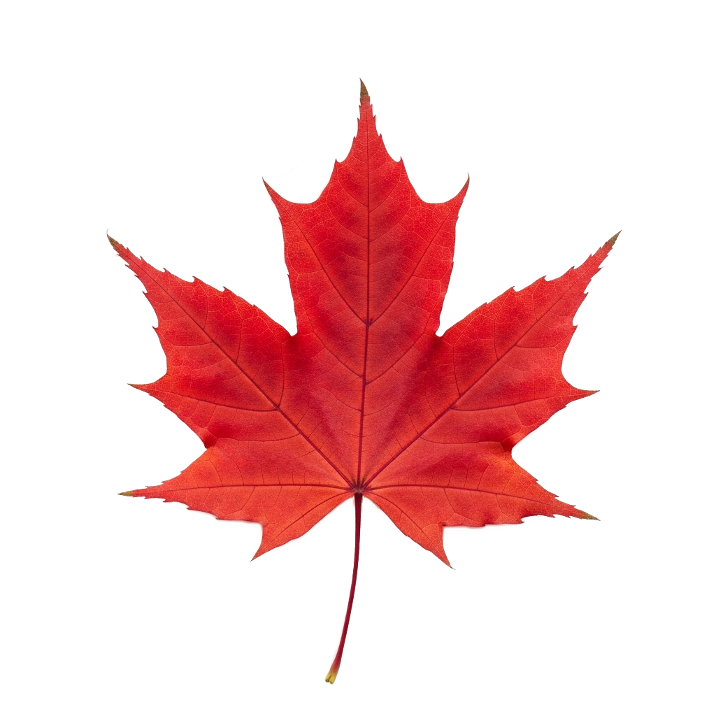 Proudly Canadian